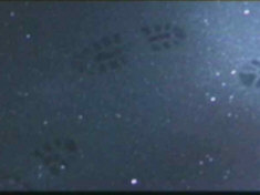 The best thing to do at this point is of course to split up.