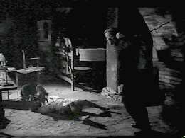 Boy, some days it doesn�t pay to get out of bed!