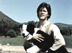 Abe Lincoln: Great American President & Dog Lover