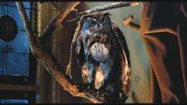 The winning exhibit from the special Halloween episode of Antiques Roadshow.