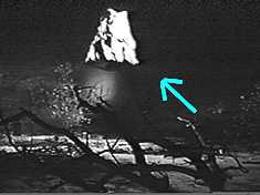 The comets spectacular crash to Earth!