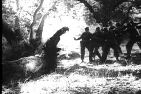 "Wait!  It doesn't *have* eyes, much less whites of them!"