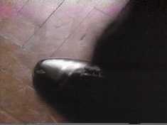 which are then crushed. What can it all mean?