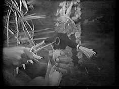 The village film critic reaps his revenge on Marlon Brando after sitting through The Island of Dr. Moreau.