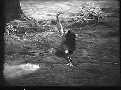 Cmon, once they established the quicksand pit, you knew that *somebody* was going to get tossed into it.