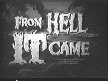 No argument from us...