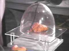 "Oh, *that.* Everyone who earns their Mad Scientist diploma gets one of those."