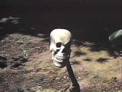 The most popular Halloween costume for girls this year was "Calista Flockhart."