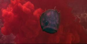 Hey, it really *is* rolly-polly.