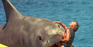 "Help, I'm being eaten by a huge shark that's somehow levitating most of its body out of the water!"