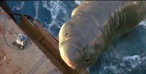 Pretty good sock puppet or really bad animatronics?  You decide.