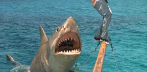 "Hey!  That's not Shamu!"