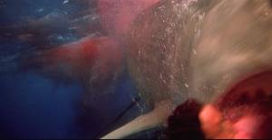 Note the rod projecting from the shark's belly.