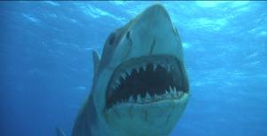 "Stupid %@#(~!& Brodys!  What, Florida too frickin' close for ya?"