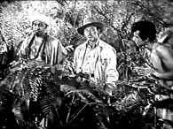 Shan-Kar, Trosk and Kumar