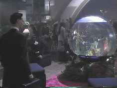 This Spherical Fish Tank joins the Nut o Fun in the Hall of Objects that Distracted Us during Really Bad Movies.