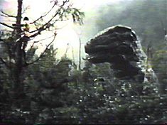 The T-Rex sneaks up on the worlds greatest tracker.