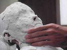 This is when lead actress Quinlan knew shed made it into the cast!