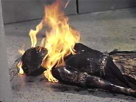 You'd think she'd learn her lesson after that first incident in the tanning booth, but no...