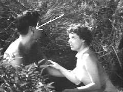 Roy mysteriously sports a bloody ear from a fight hell have later on in the film.  I know its hard to see here, but on a TV its as big as life.