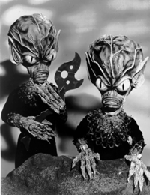 Man, if we find any cows around here...watch out!