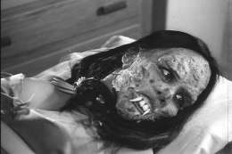 Cher finally takes the plastic surgery one step too far...