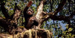 "Neo-Nazi Monkeys!  Why'd it have to be Neo-Nazi Monkeys!"