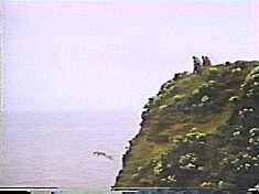 Wasteful inmates throw out a perfectly good dummy. 