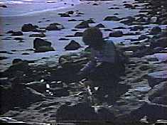 It's night! No, really! 