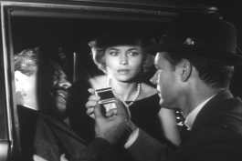 "Mi amigo, you must listen to El Genralissimo Cirujano...it's true what he says!!"