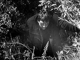 "I...am not a crook!"