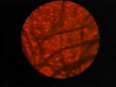 Hey, that actually worked pretty well, huh?