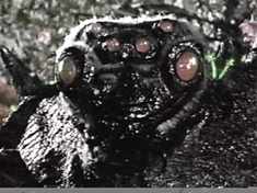 Oh, oh. Better call Orkin! (Sorry, Im tired and thats all I can come up with now.) 