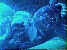 Attack of the Killer Hose!